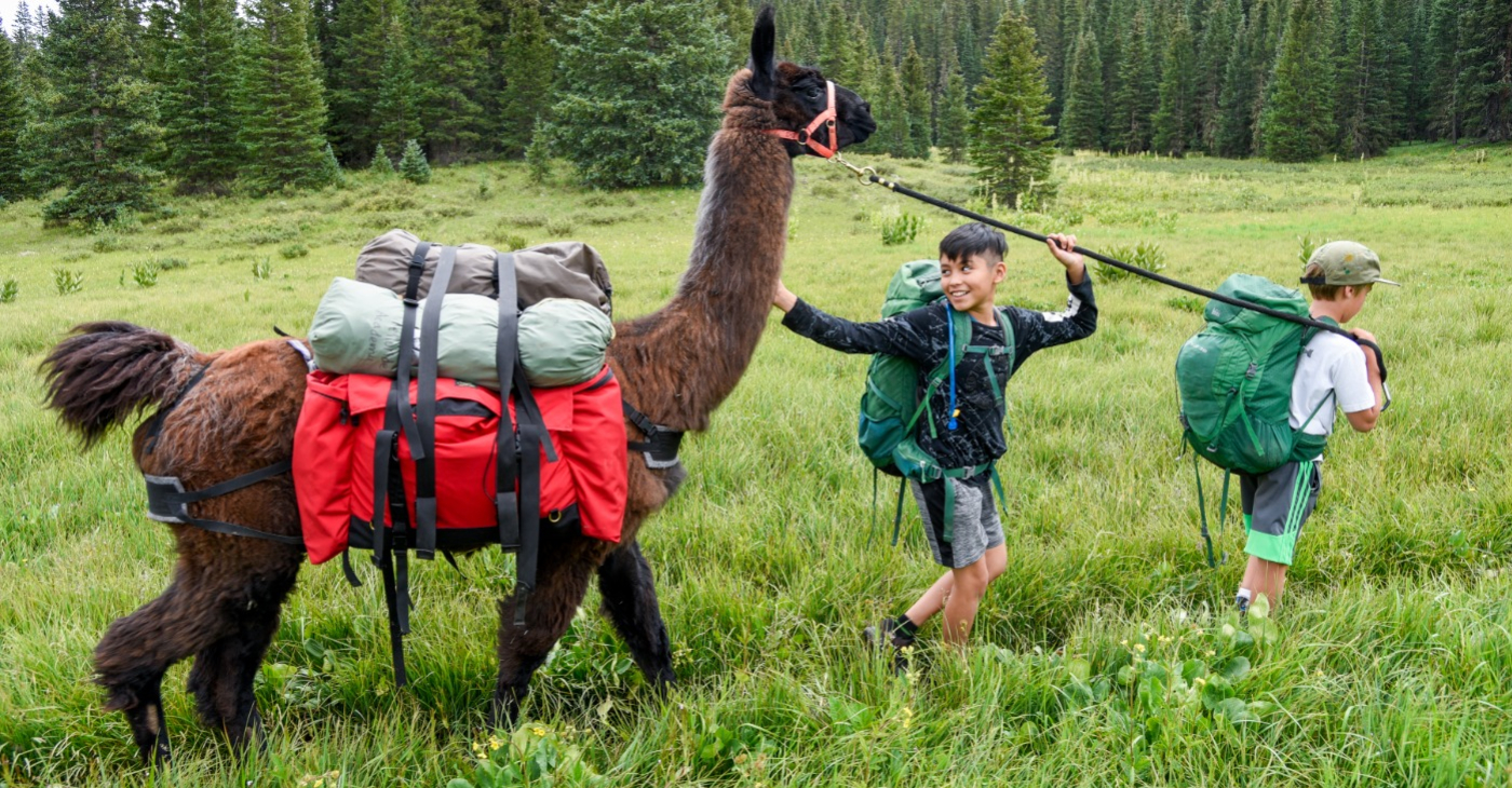 llama-trekking