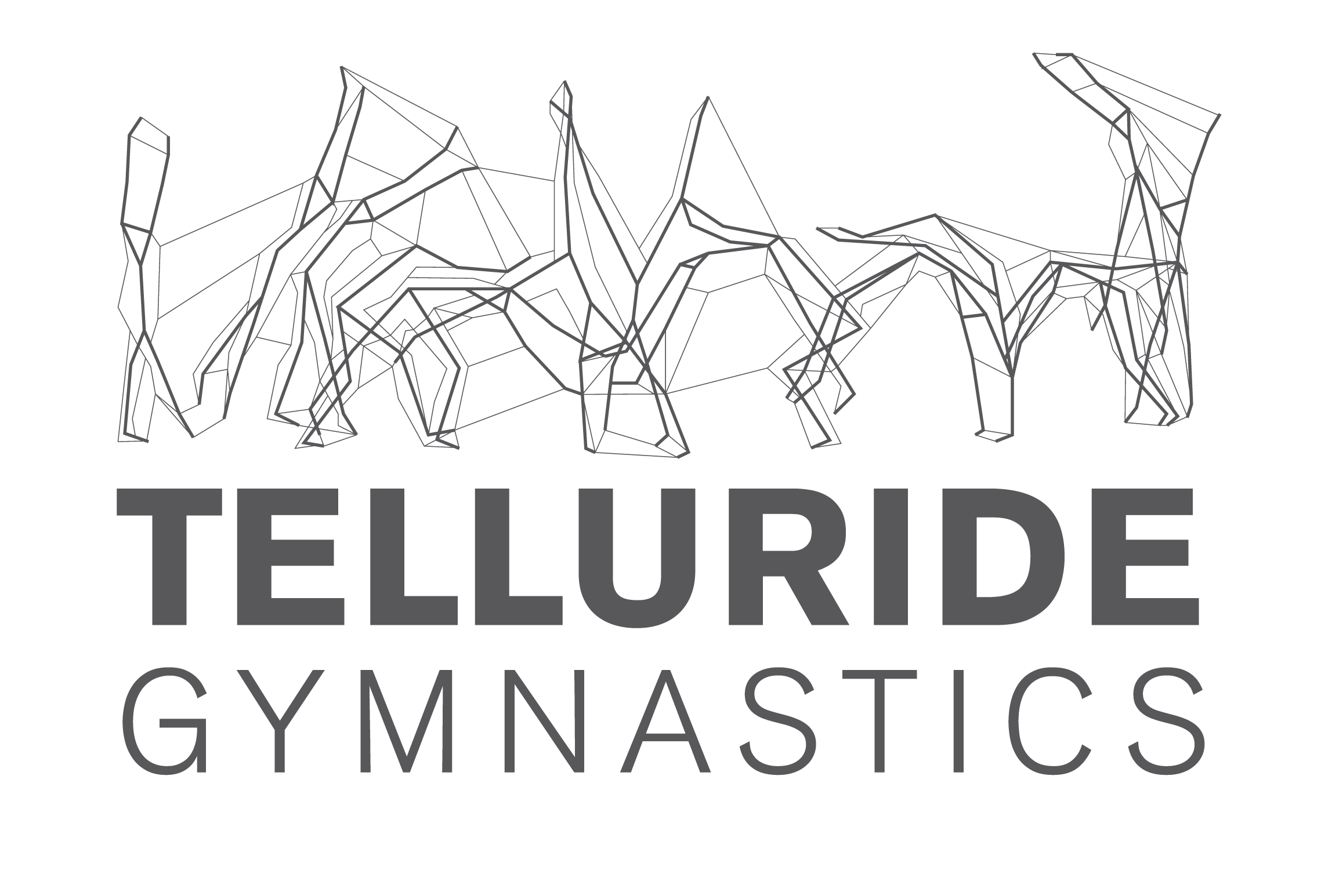 Telluride Gymnastics