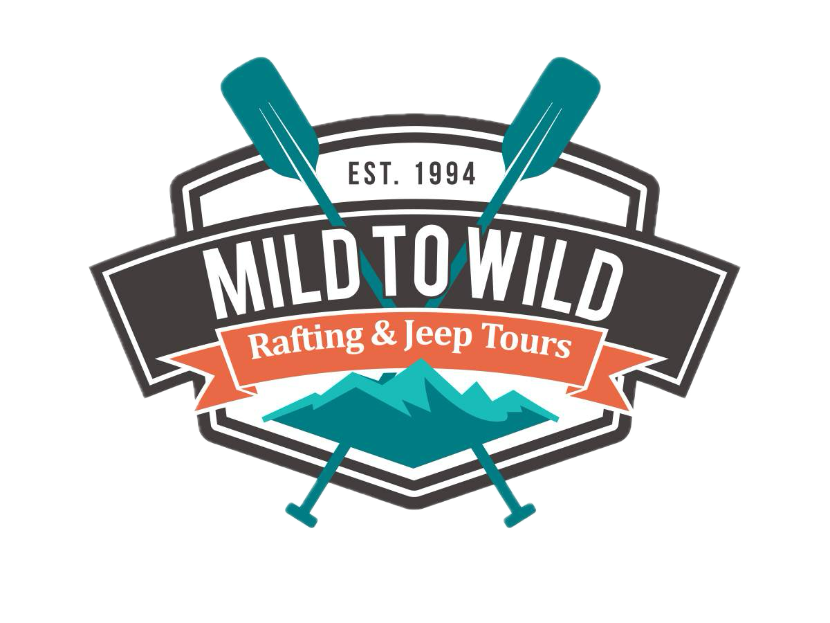 Mild to Wild